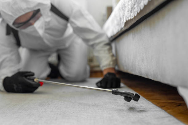 Professional Termite Control technician working in Eagle Point, OR