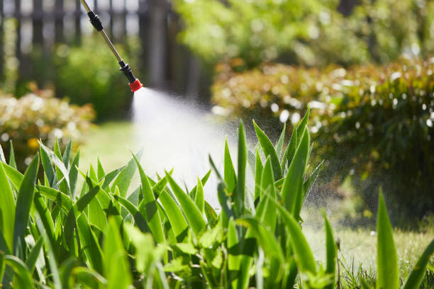 24/7 Emergency Termite Control experts in Eagle Point, OR